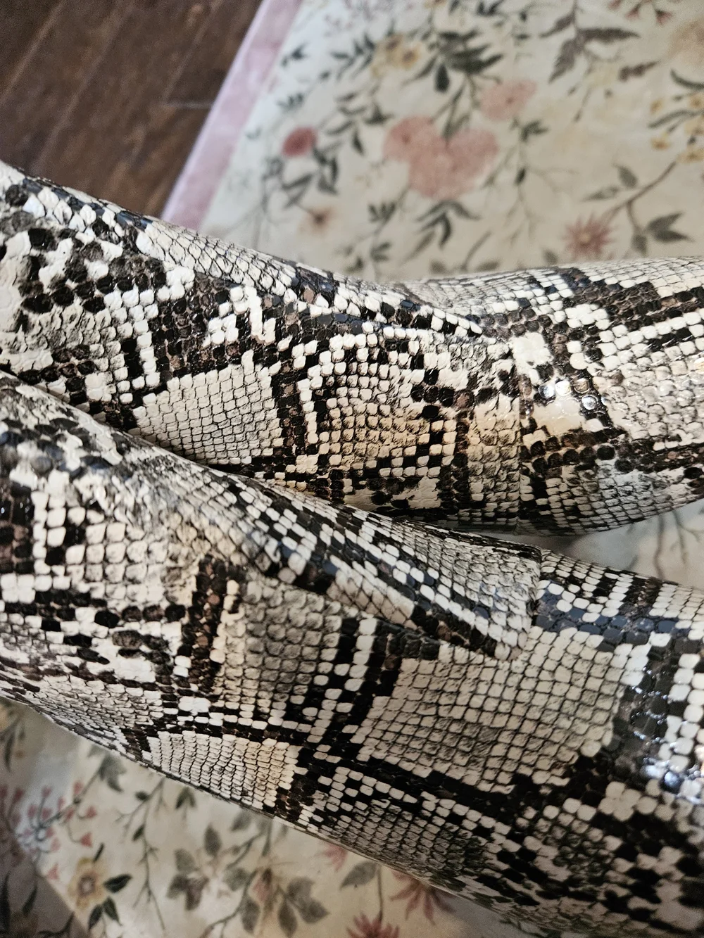 Sugar Black & White Snake-Print Pointed Ankle Boots